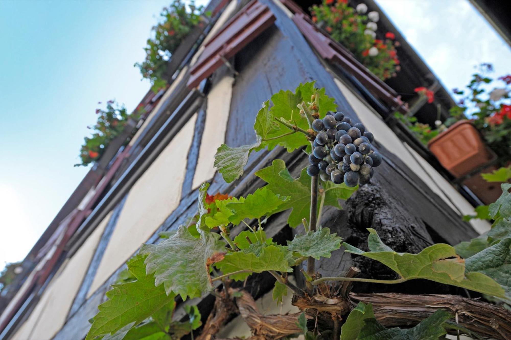 Strumpfweberhaus Schiltach Dış mekan fotoğraf